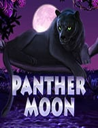 pg slot ค่าย ไหน ดี : ลองเล่นกันเถอะ!